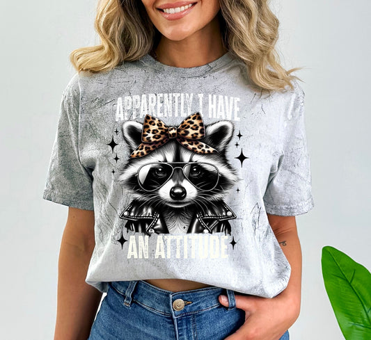 PRE- ORDER**APPARENTLY I HAVE A ATTITUDE RACOON ** GLITTER CLEAR FILM SCREEN PRINT TRANSFER **