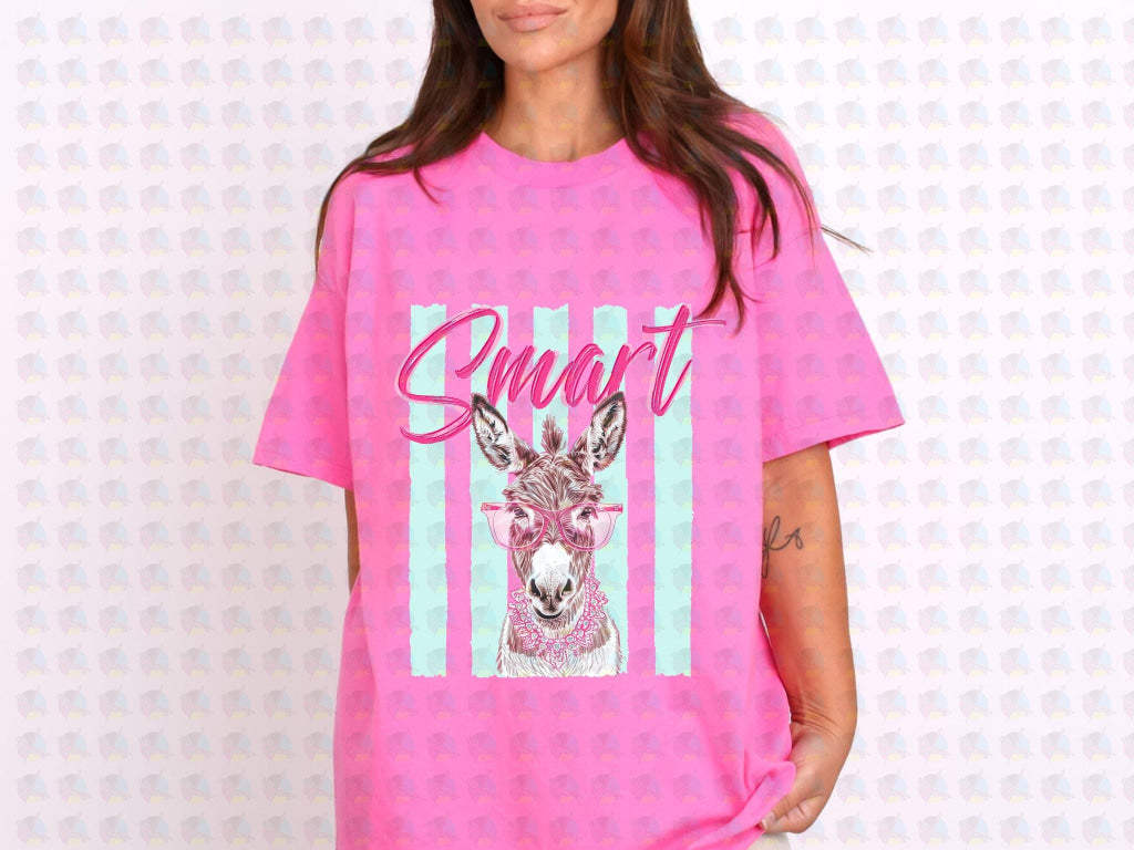 PRE- ORDER*SMART DONKEY ** GLITTER CLEAR FILM SCREEN PRINT TRANSFER **
