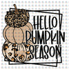Pre-Order Hello Pumpkin Season Non-Glitter Dream Transfer
