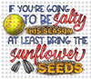 Pre-Order Salty Sunflower Seeds Softball Glitter Dream Transfer Screen Print