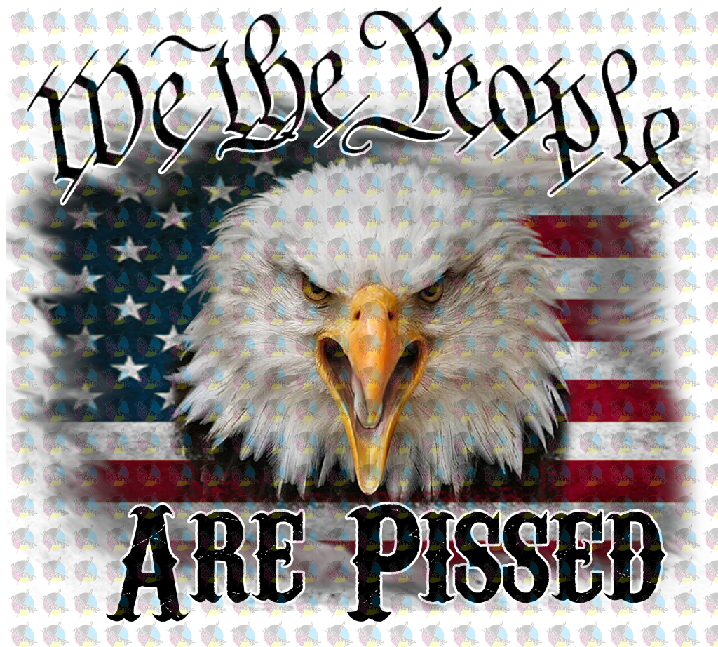 Pre-Order We The People Are Pissed Glitter Dream Transfer Screen Print